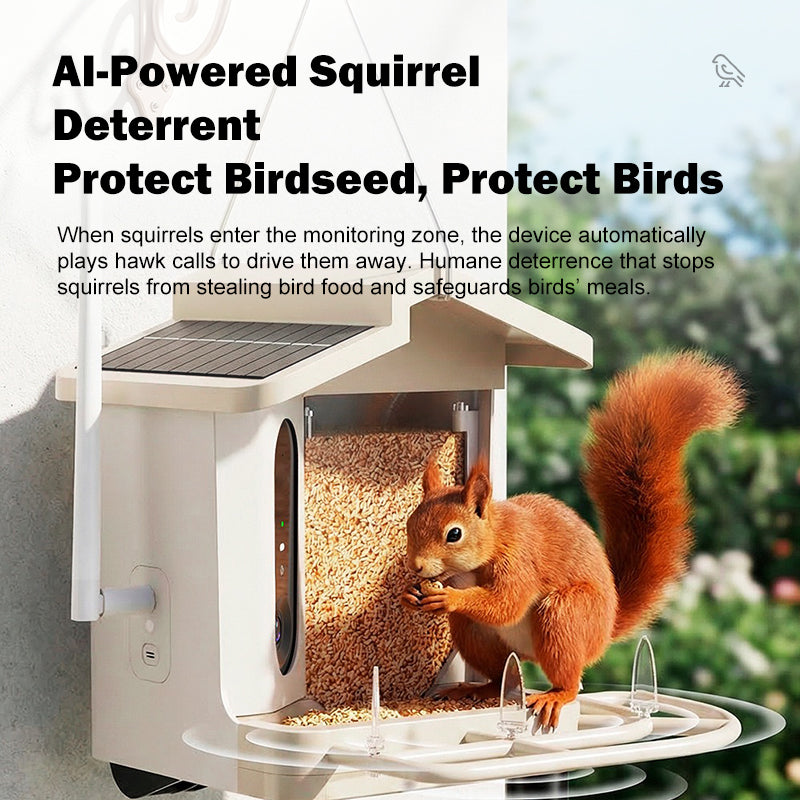 Cheersky Smart bird feeder